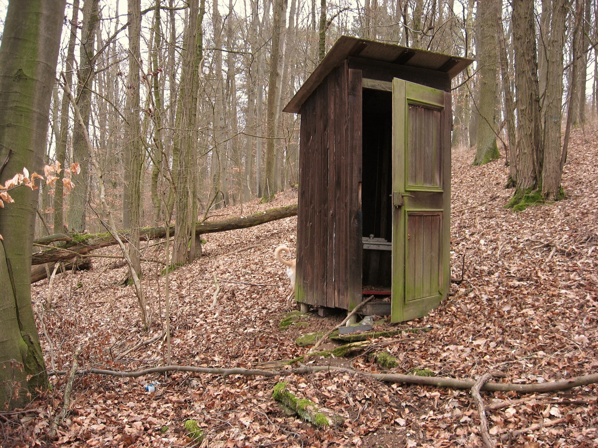 12 - Pourquoi j'ai mis des toilettes sèches chez moi